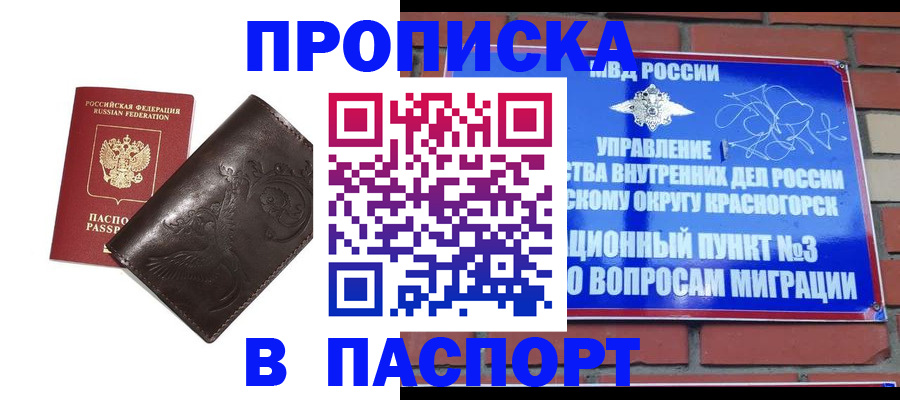 миграционный учет в Владимирской области